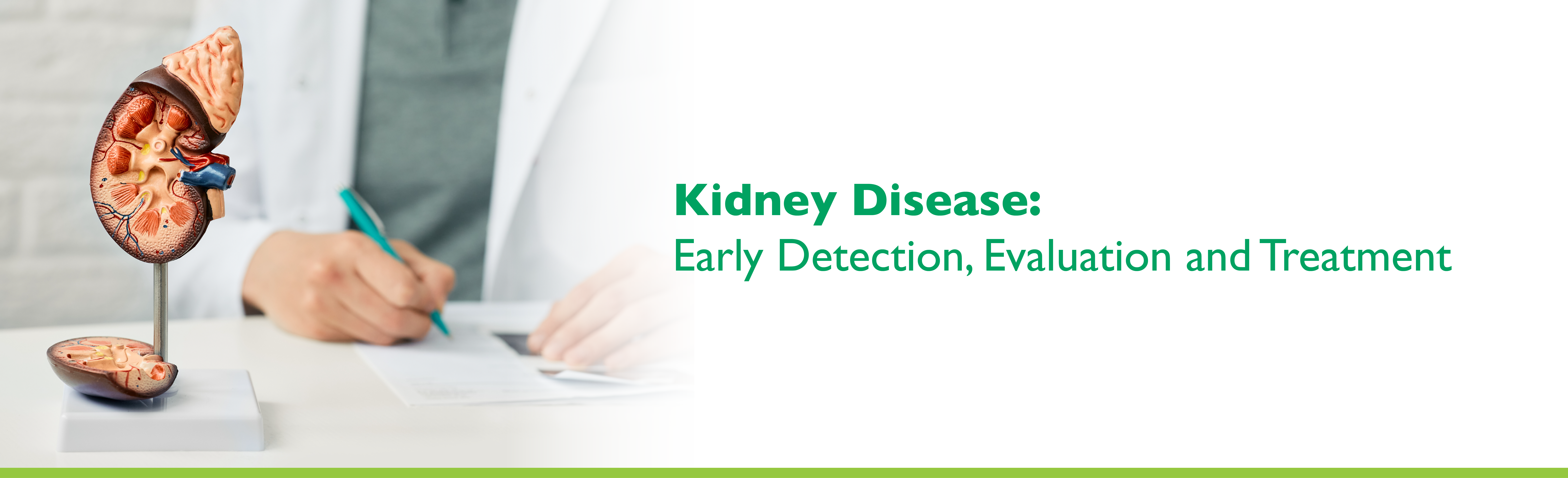 Banner Kidney Disease